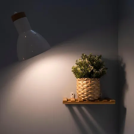 Matriz Lofts Апартаменты Понта-Делгада