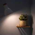 Matriz Lofts Apartament Ponta Delgada