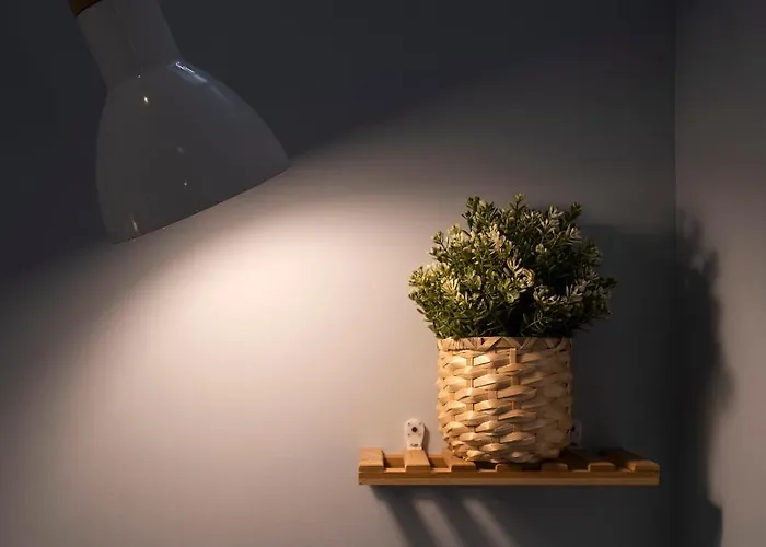 Matriz Lofts Apartment Ponta Delgada